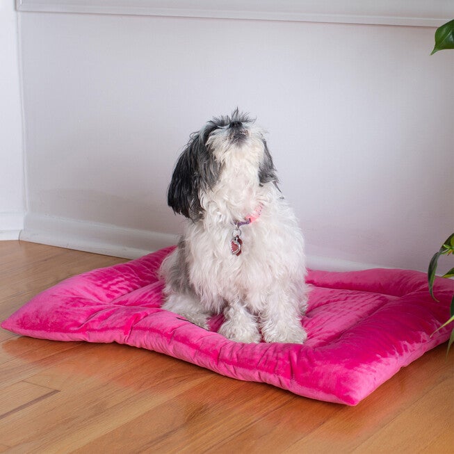 Medium Pet Bed Mat , Dog Crate Soft Pad With Poly Fill Cushion, , on-hover image number 1