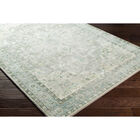 Erin Rug 5' x 7'6", , on-hover image number null