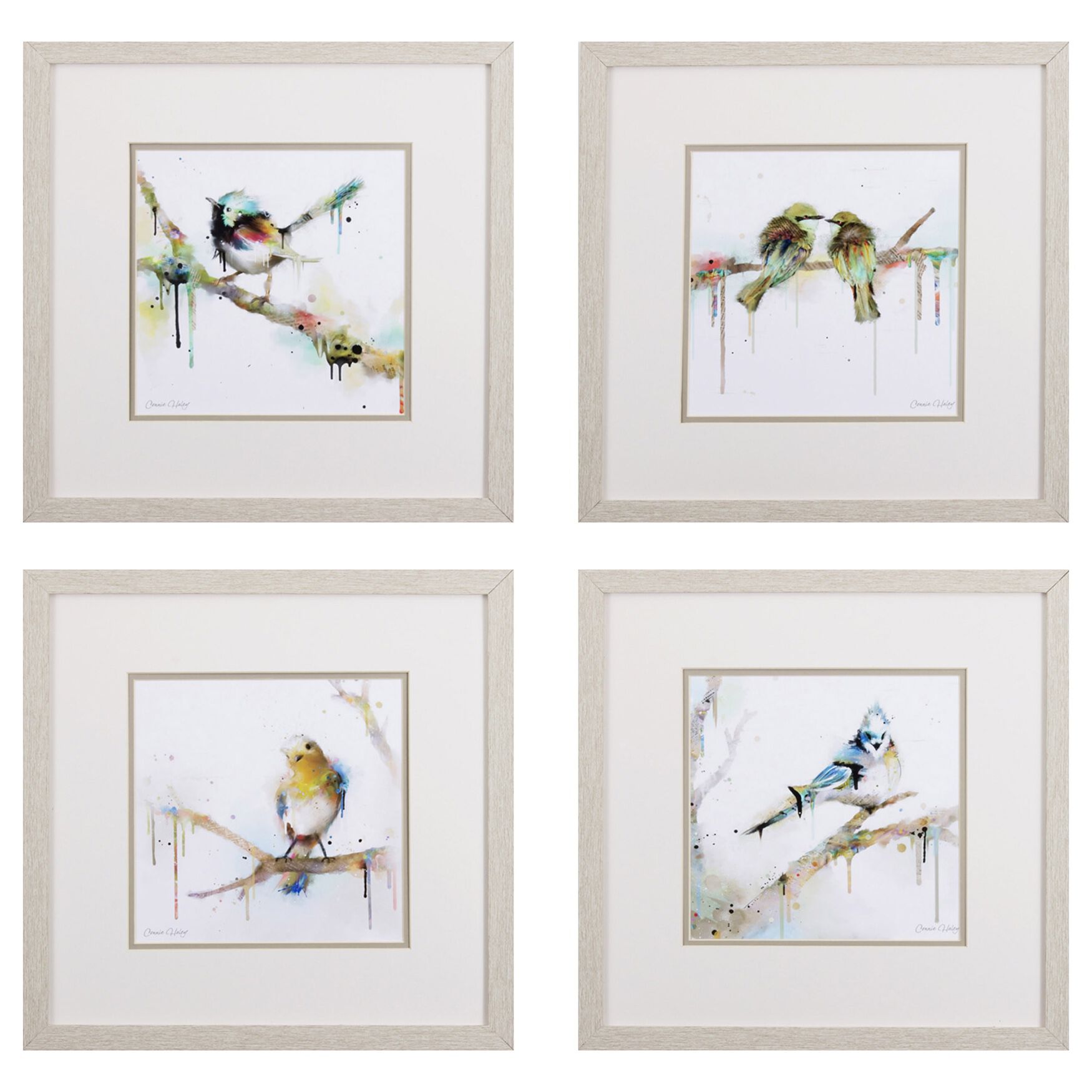 Birds On Branch Framed Wall D&eacute;cor, Set Of 4, GREEN, hi-res image number 0