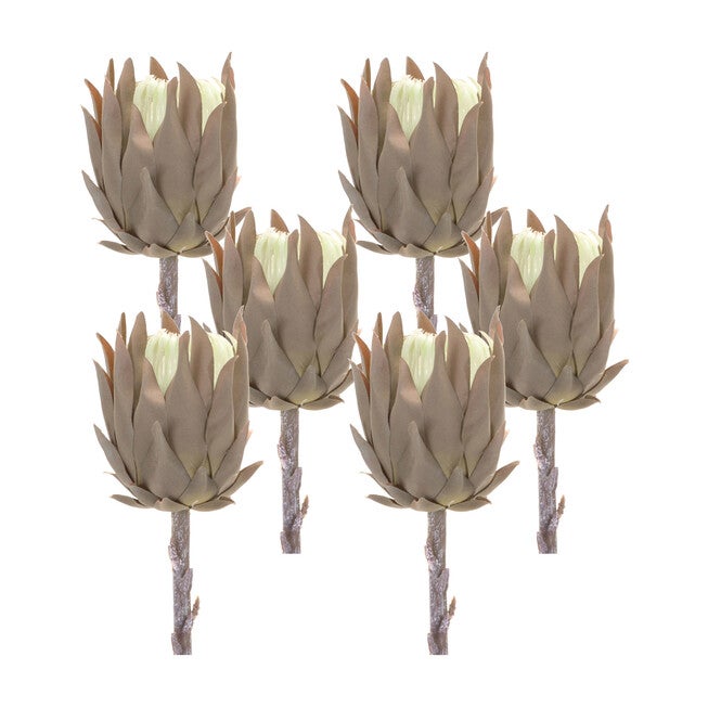 Beige Protea Stem (Set Of 6), , alternate image number null