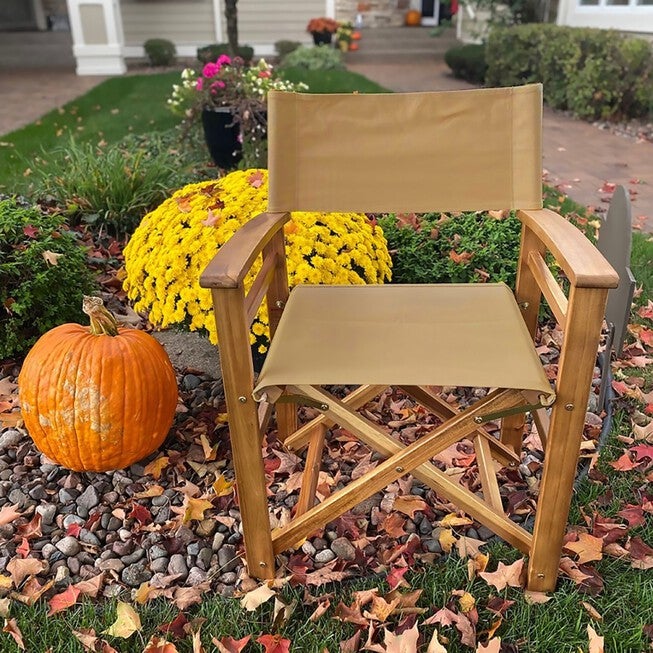 Director'S Chair, , alternate image number null