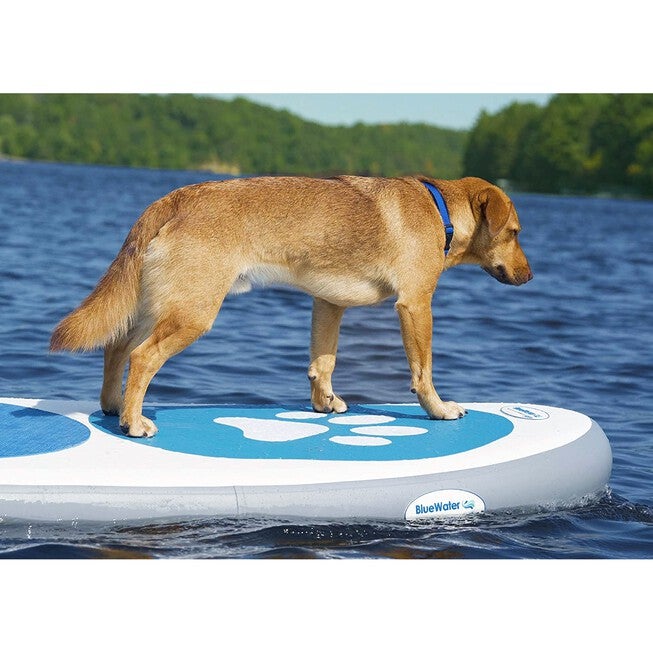 Stand Up Paddleboard Paw Paddler Multi Ply, , alternate image number null