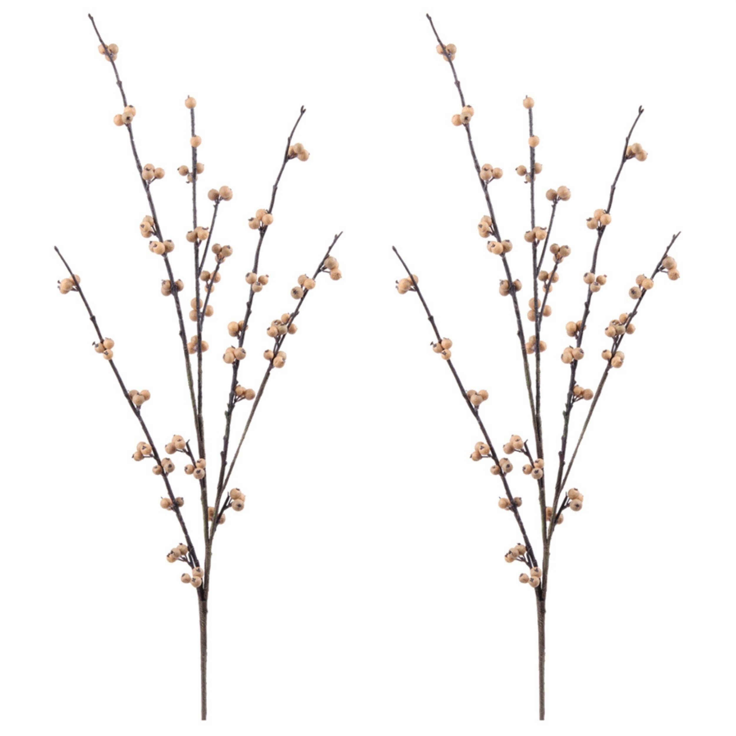Berry Twig Spray (Set of 2), BROWN, alternate image number 4
