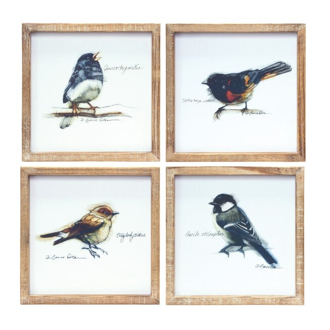 Framed Bird Print (Set of 4) 9.5 inchesSQ MDF/Wood, BROWN/WHITE, hi-res image number 0