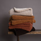 Teddy Sherpalux Plush Solid Throw, , alternate image number null