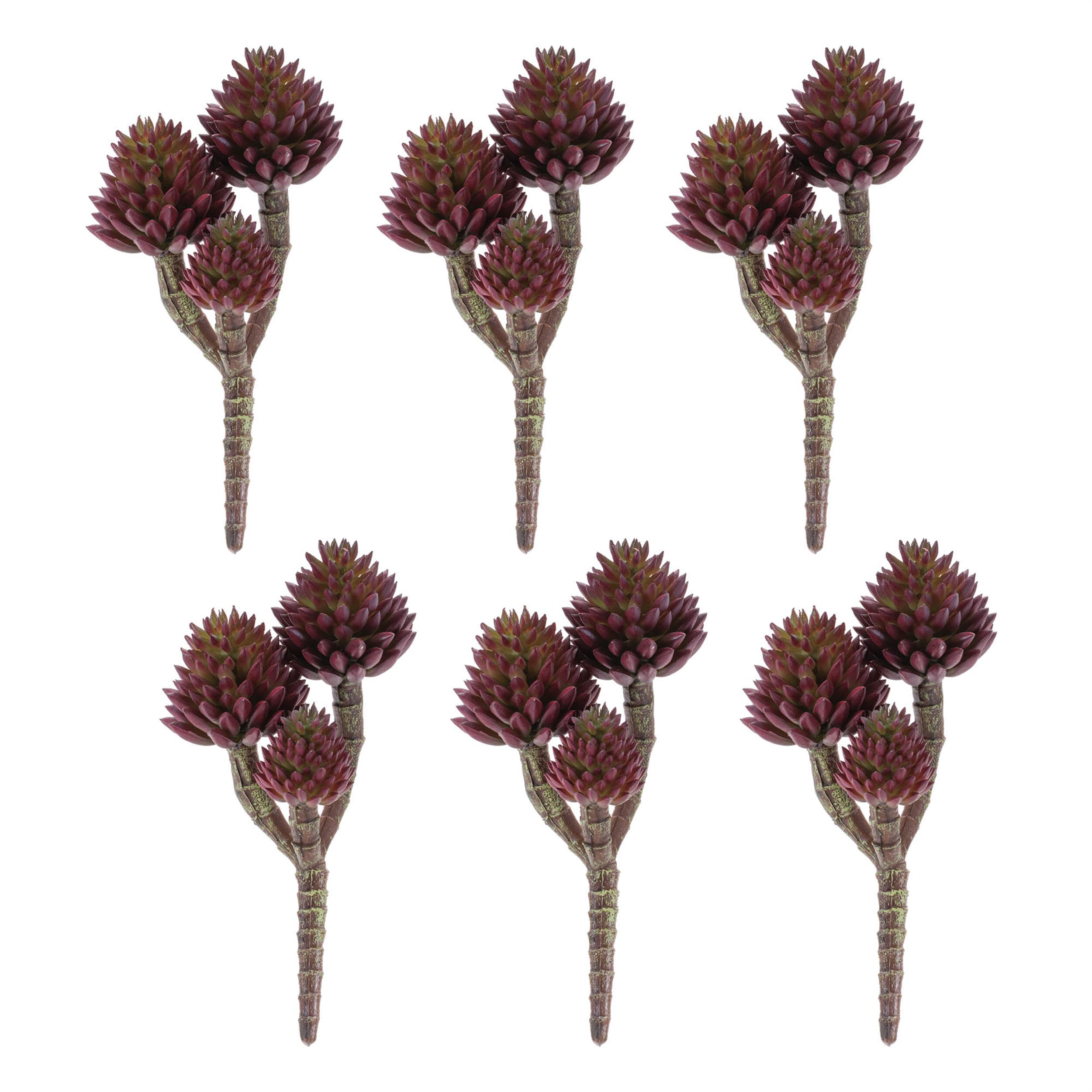 Succulent Plant Pick Set of 6, PURPLE, alternate image number 1