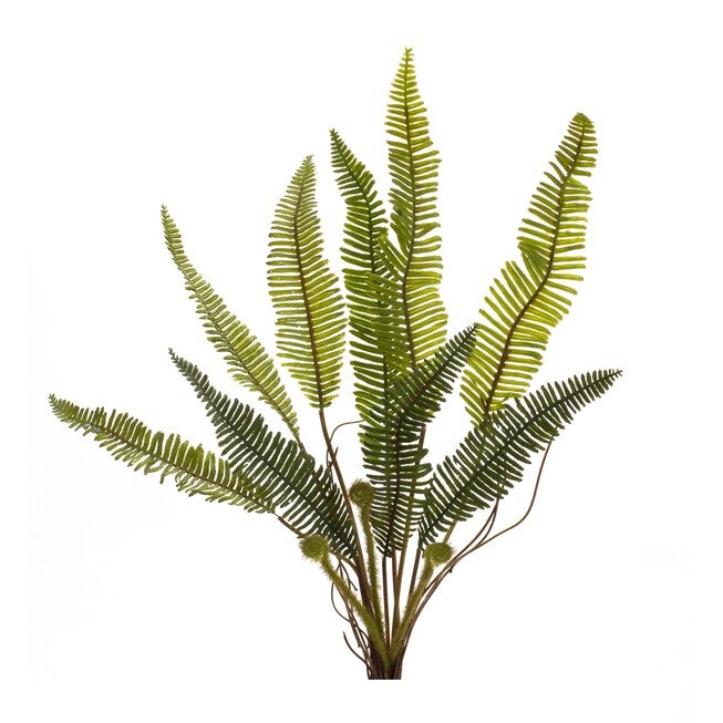 Fern Plant (Set of 6) 17.5 inchesH Plastic, GREEN/BROWN, alternate image number null