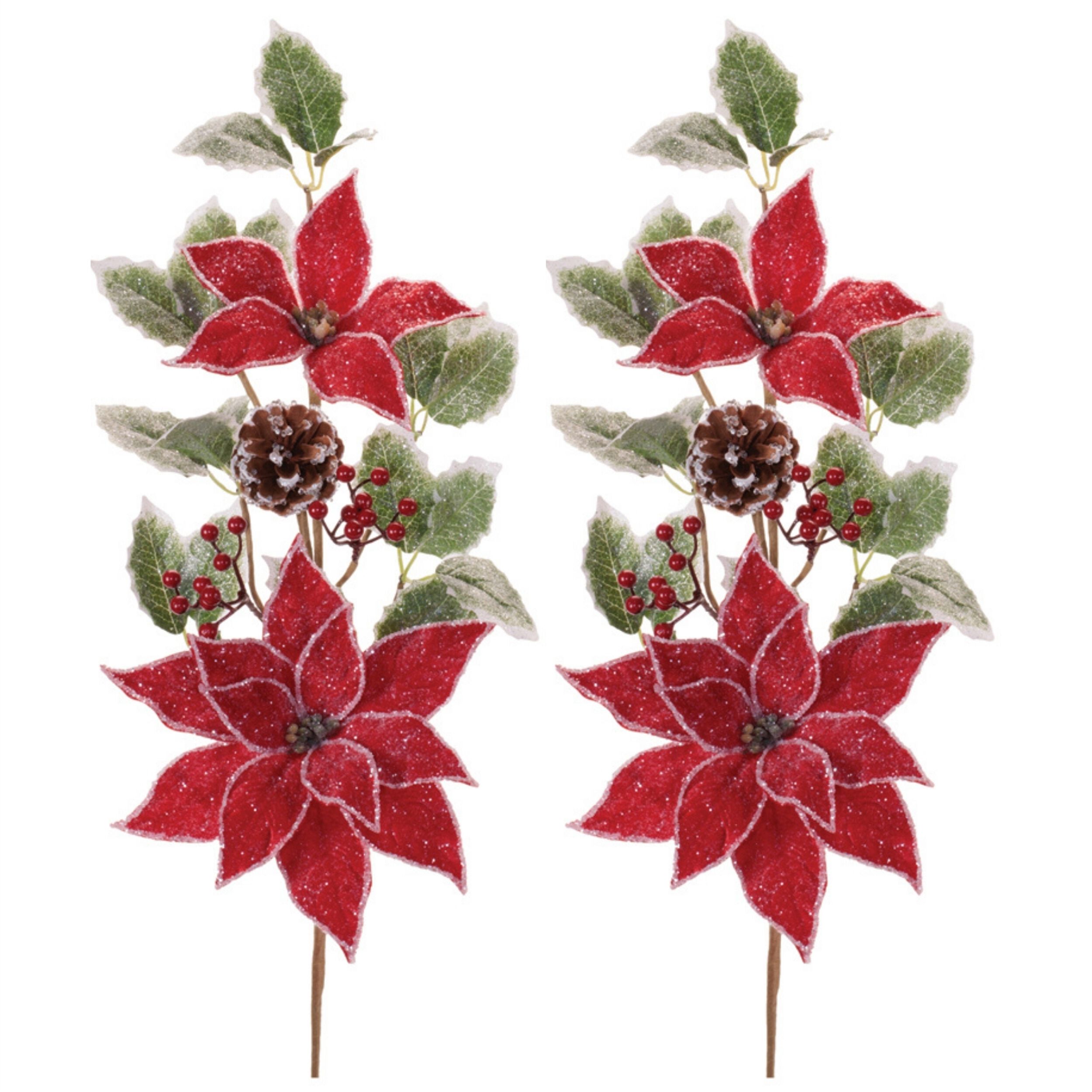 Poinsettia Floral and Holly Spray (Set of 2), RED GREEN, alternate image number 2