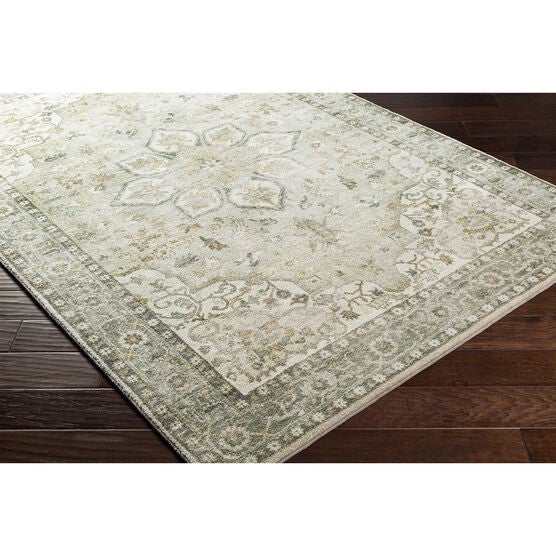 Erin Rug 2' x 3', , on-hover image number null