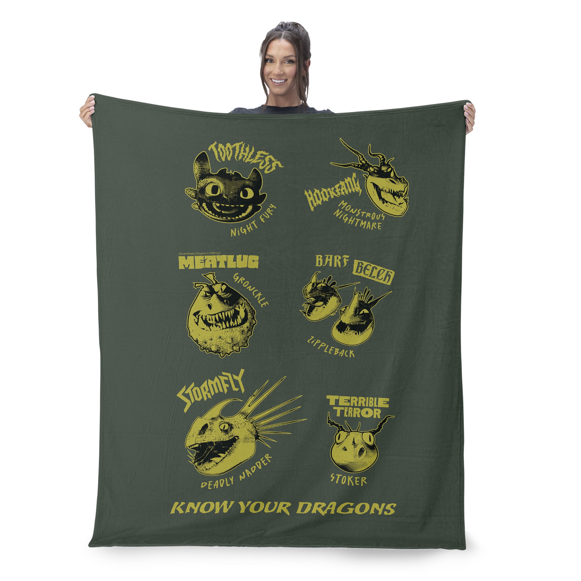How to Train Your Dragon Know Your Dragons Silk Touch Sherpa Throw Blanket 50x60 inches, GREEN, on-hover image number 1