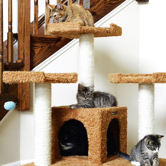 Multi-Level 74" Real Wood Cat Tree Furniture With Sratchhing Posts, , alternate image number null