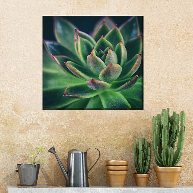 ALL AGLOW OUTDOOR ART 24X24, , on-hover image number null