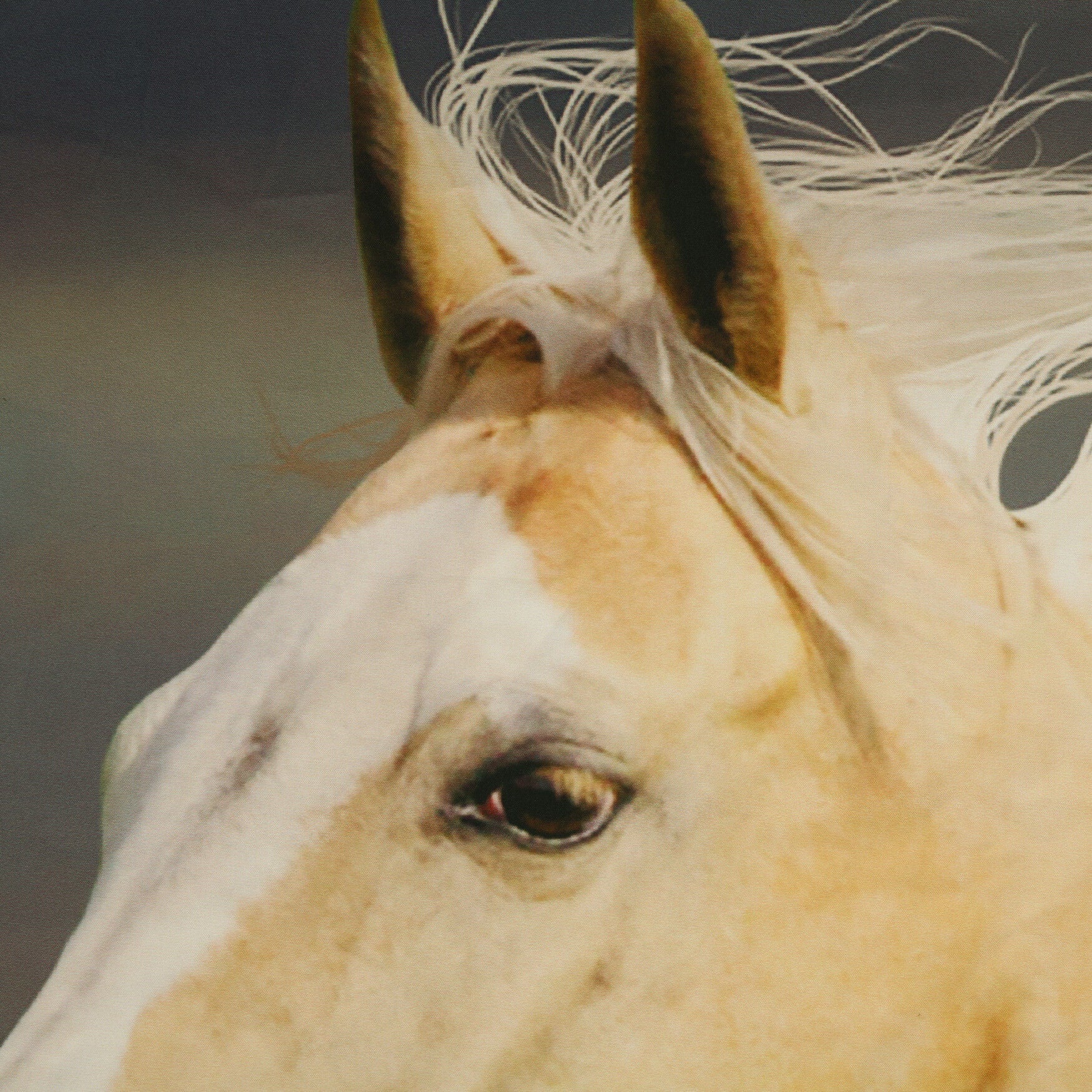 Photo Real Horses Light Filtering Pole Top Curtain Panel Pair, , alternate image number 2