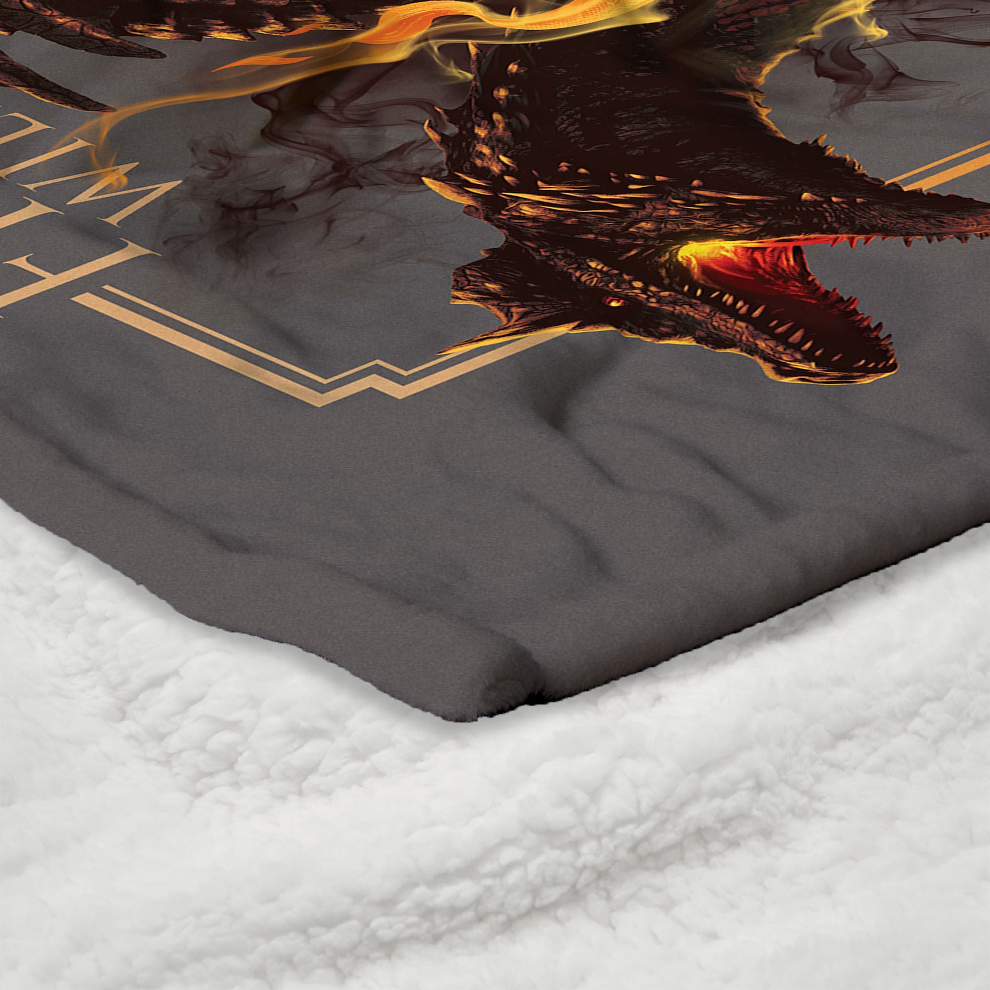 Warner Bros. House of the Dragon Let it Reign Silk Touch Sherpa Throw Blanket 50x60 Inches, BLACK, alternate image number 4