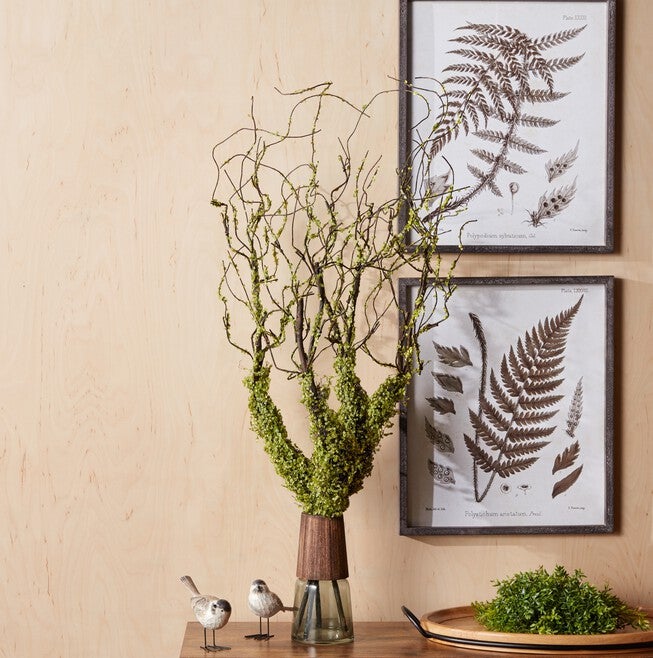 Moss Foliage Vine Branch (Set of 2), GREEN/BROWN, alternate image number 1