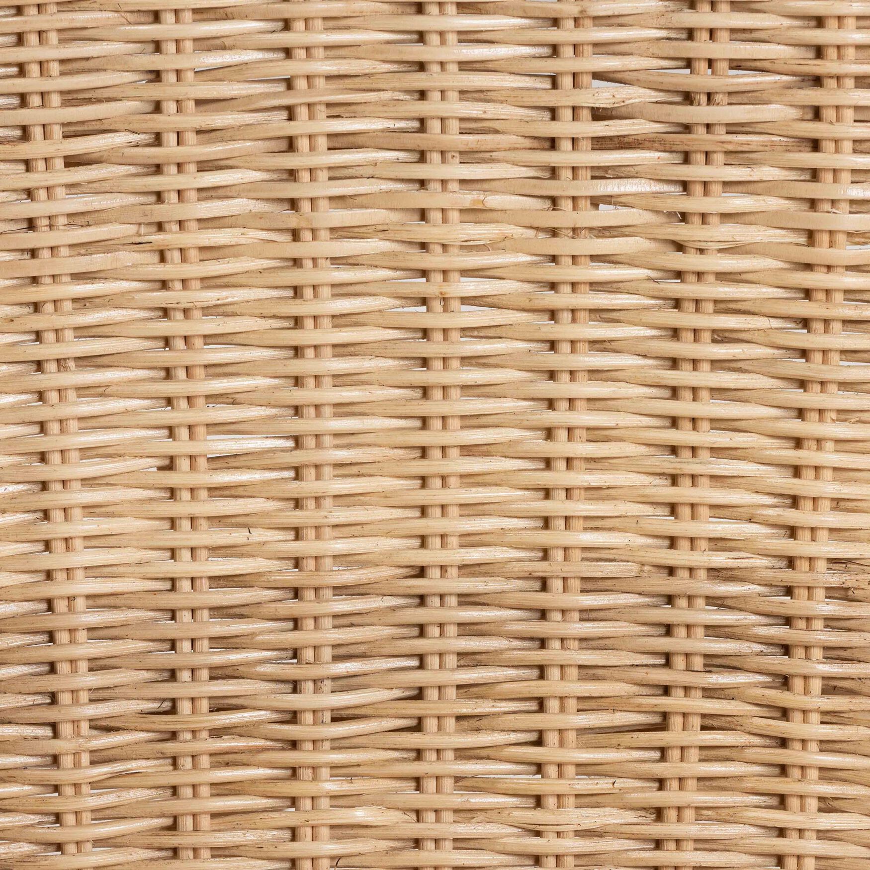 Sumatera Modern Bohemian Natural Brown Rattan 2-Piece Dining Chair Set, , alternate image number 5