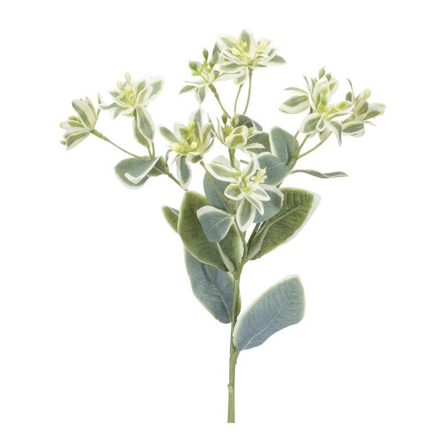Euphorbia Floral Stem (Set of 6), GREEN/WHITE, hi-res image number 0