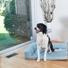 Bolstered Pet Bed Cushion With Poly Fill Cushion, Medium SoothIng Blue, , alternate image number null