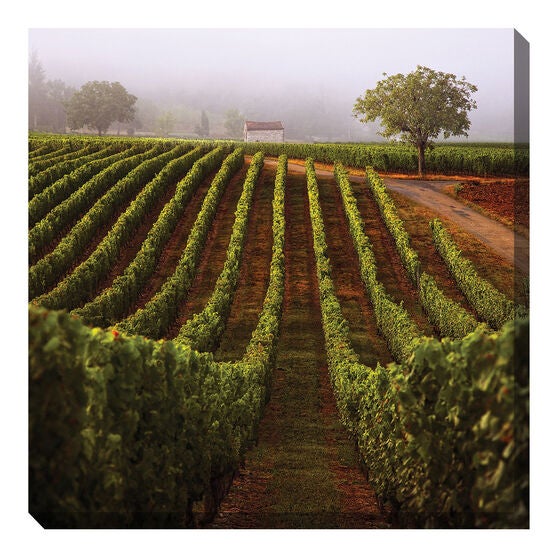 All Weather All Season Outdoor Canvas Art, MULTI, hi-res image number null