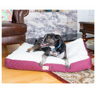 Large Pet Dog Bed, Mat With Poly Fill Cushion& Removable Cover, , alternate image number null
