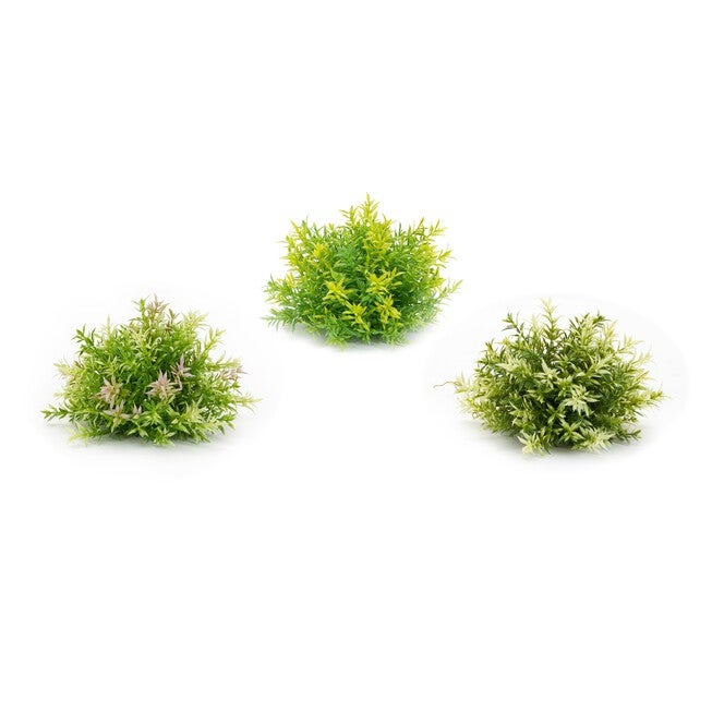 Half Orb (Set of 6) 8 inchesD x 6 inchesH Plastic, GREEN, alternate image number 1