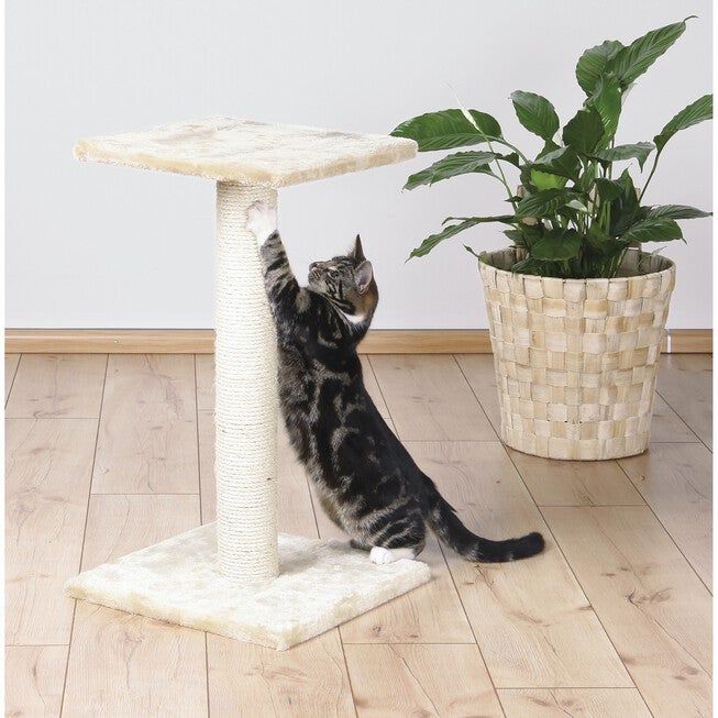 Espejo Scratching Post, , alternate image number null