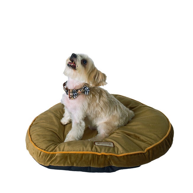 Poly Fill Dog Cushion Bed Pad, Mocha, MOCHA, hi-res image number 0