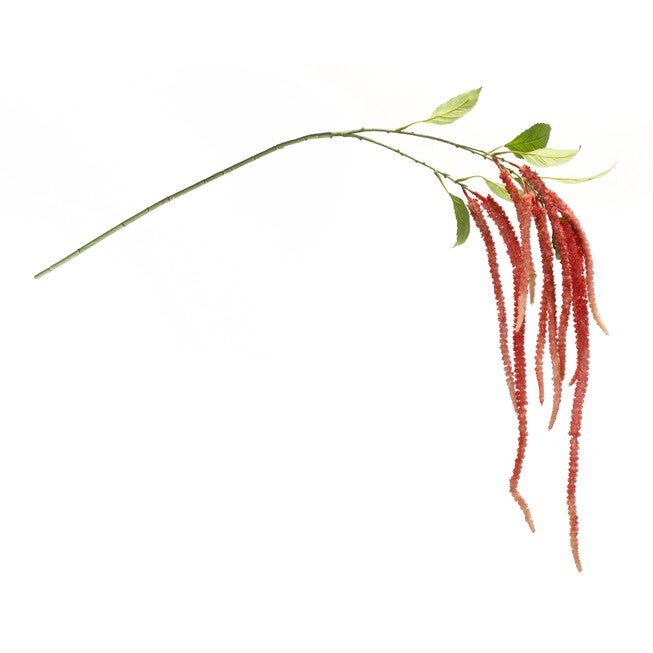Amaranthus Stem (Set of 4) 53.25 inchesH Plastic/Polyester, GREEN/PINK, alternate image number null