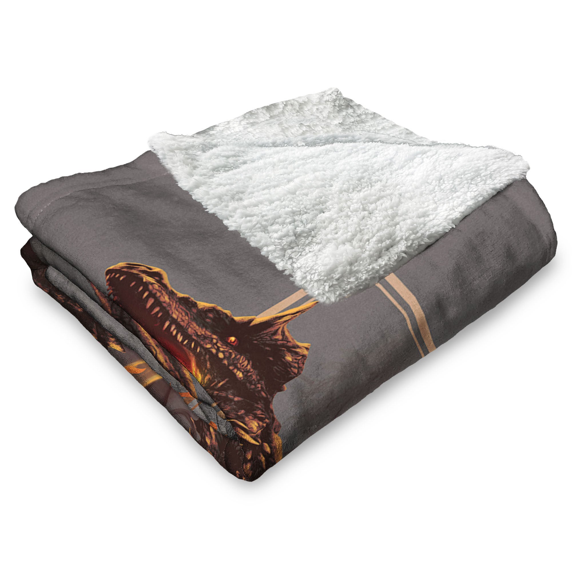 Warner Bros. House of the Dragon Let it Reign Silk Touch Sherpa Throw Blanket 50x60 Inches, BLACK, alternate image number 3