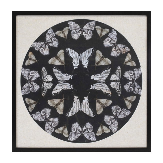Framed Butterfly Print 25 inchesSQ, BLACK BEIGE, hi-res image number null