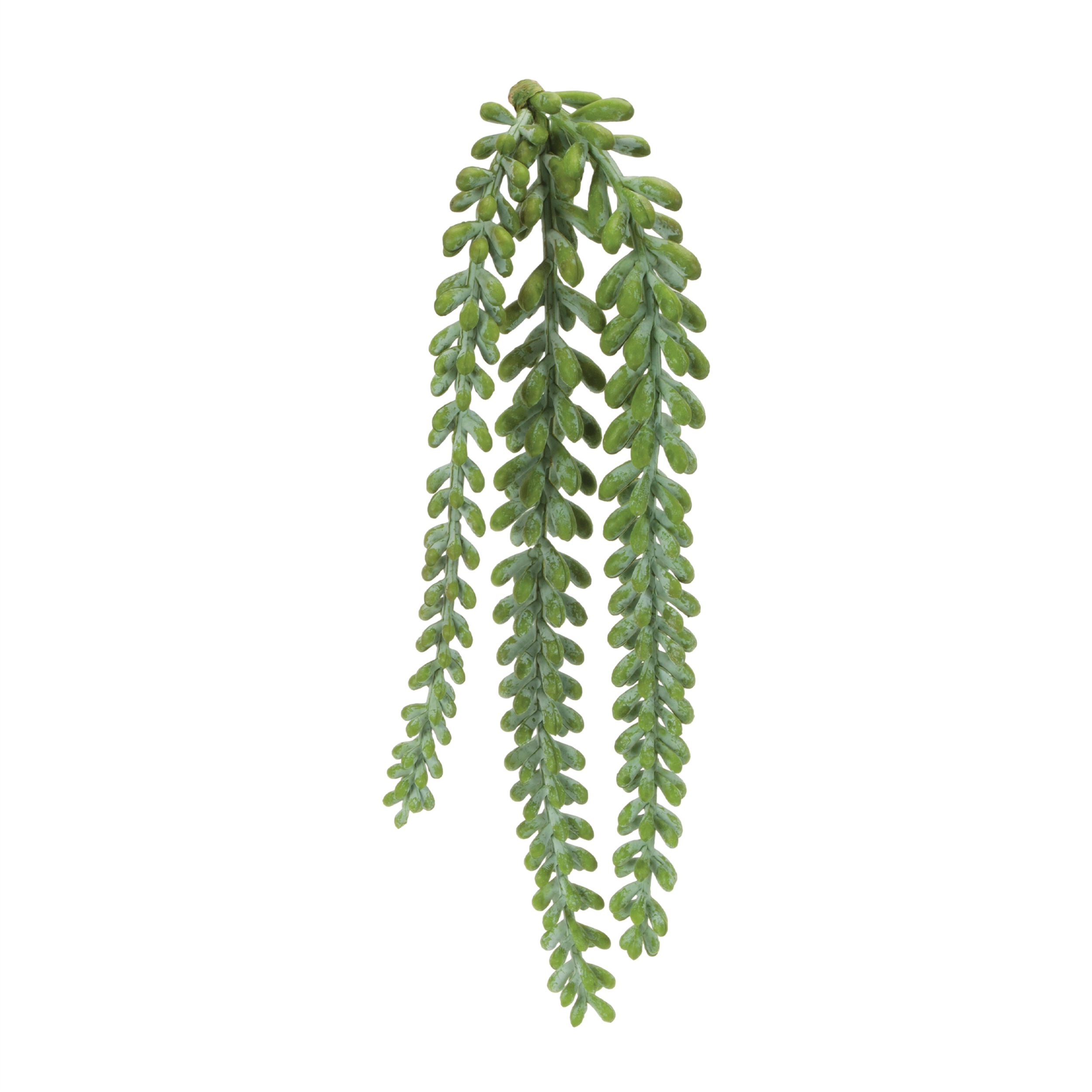 Hanging Sedum Succulent Spray Set of 12, GREEN, hi-res image number 0