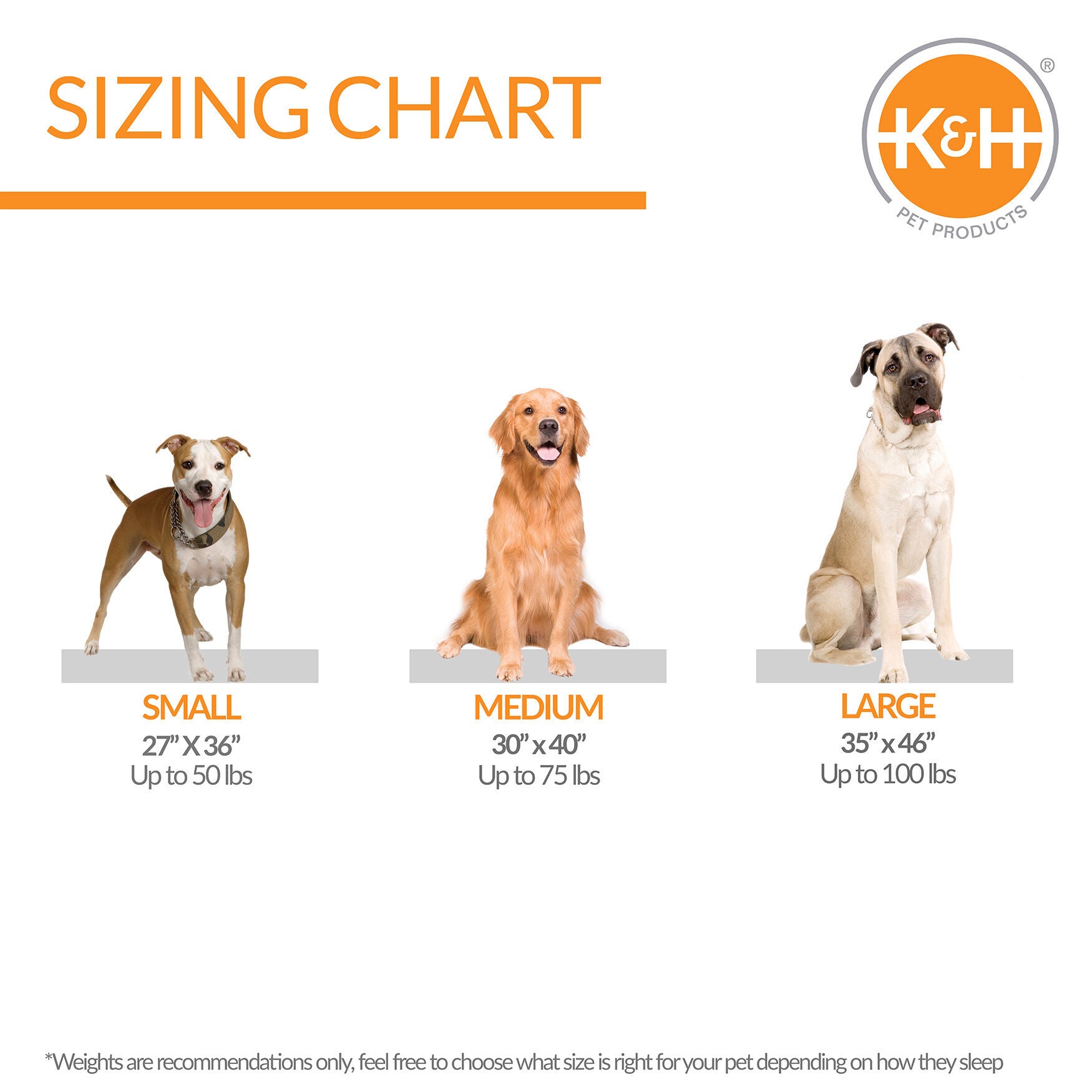 Orthopedic Quilt Top Pet Bed, , alternate image number 2