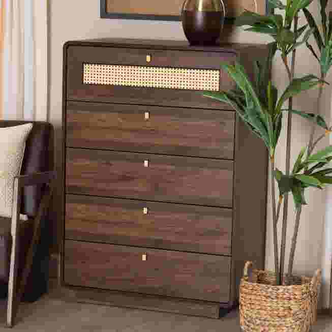 A dark wood chest with a rattan drawer front, placed in a room with a plant and a chair.