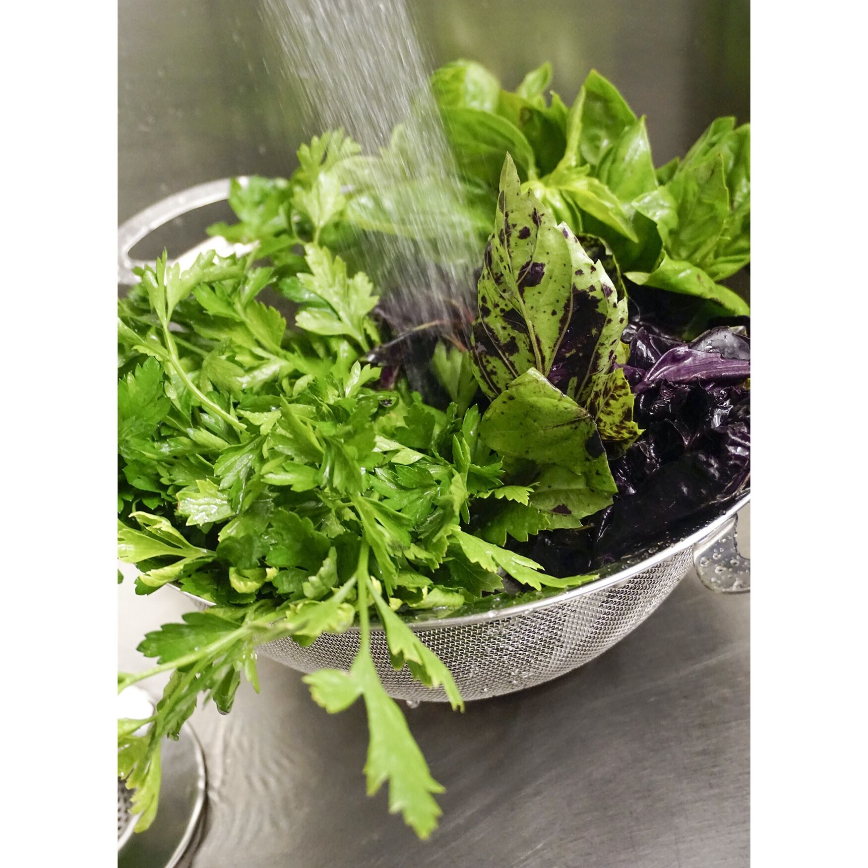 Mesh Colander 4qt, , alternate image number 5