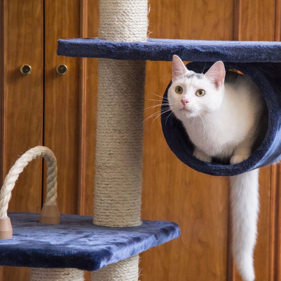 Real Wood 71" Cat Climbing Furniture Tower, , alternate image number null