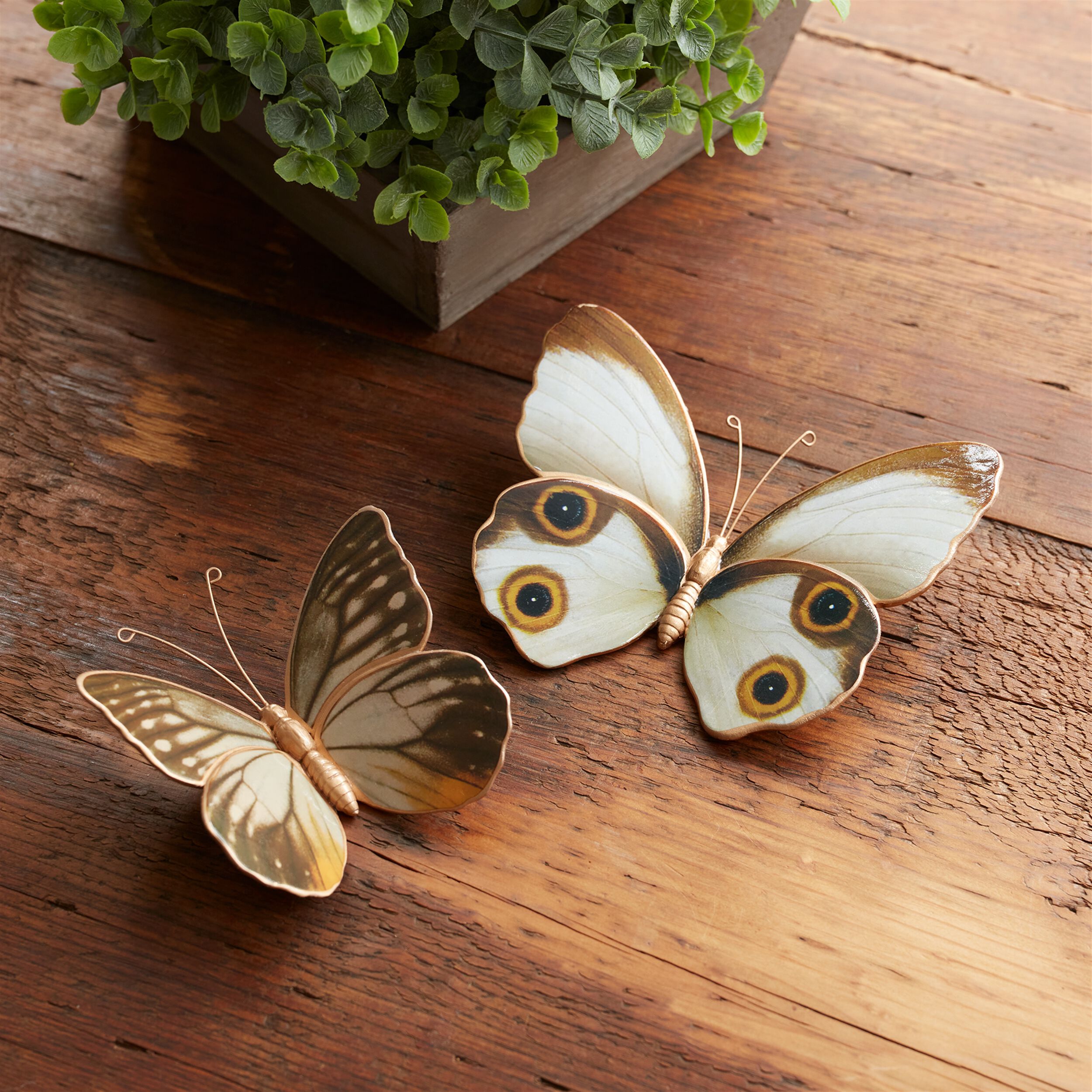 Amber Butterfly and Moth Shelf Sitter (Set of 2), WHITE/BROWN/ORANGE, alternate image number 3