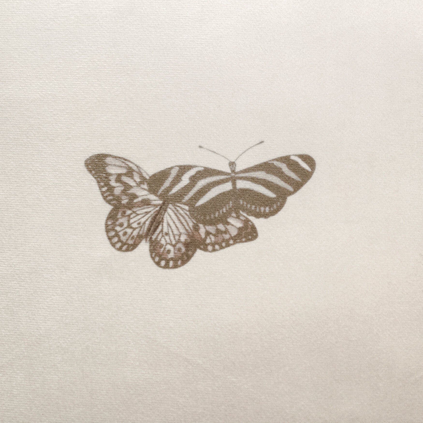 Velvet Bold Butterfly Decorative Pillow Dec Pillow, , alternate image number 3