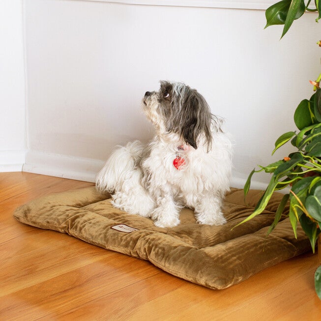 Pet Bed Mat, Dog Crate Soft Pad With Poly Fill Cushion, Medium Sage Green, , on-hover image number 1