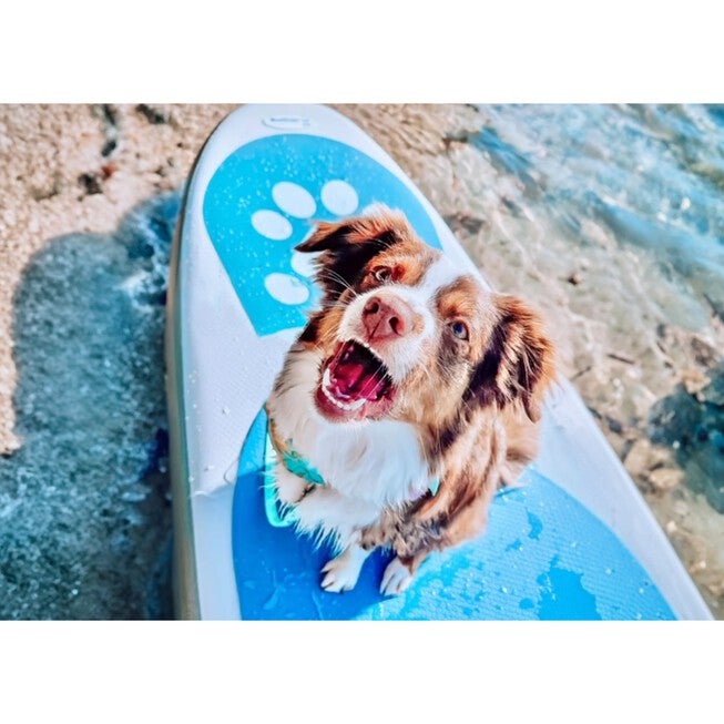 Stand Up Paddleboard Paw Paddler Multi Ply, , alternate image number null