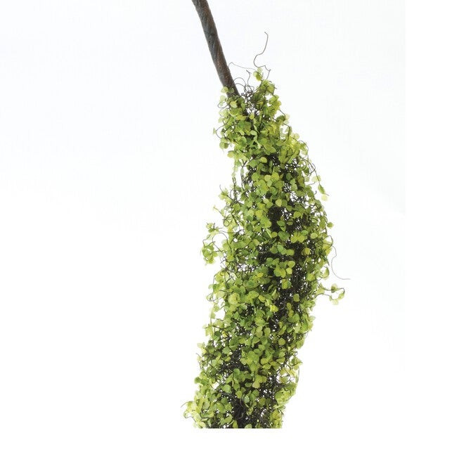 Moss Foliage Vine Branch (Set of 2), GREEN/BROWN, alternate image number 2