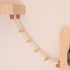 Real Wood Wall Series: Cat Soft Ladder, , alternate image number null