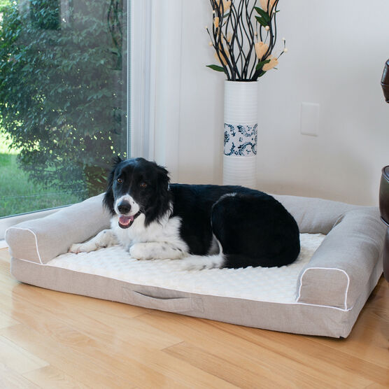 Bolstered Pet Bed Cushion With Memory Foam, Medium Ivory & Beige, , alternate image number null