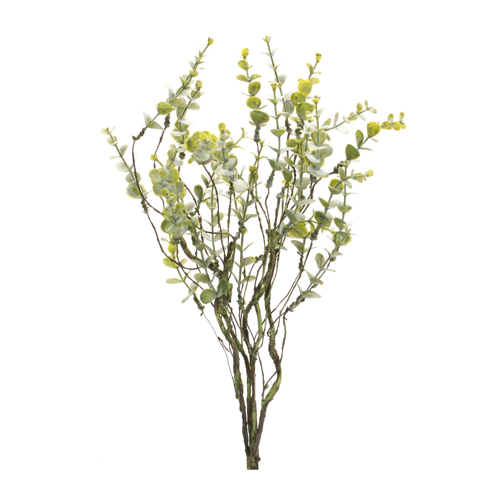 Boxwood Twig Foliage Spray (Set Of 6), GREEN, hi-res image number 0