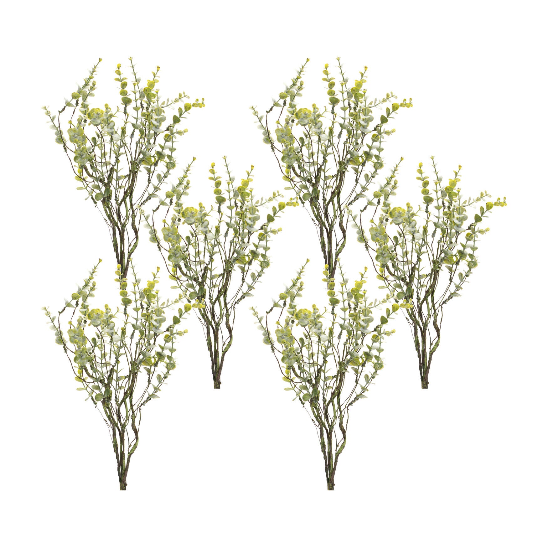 Boxwood Twig Foliage Spray (Set Of 6), , alternate image number 2