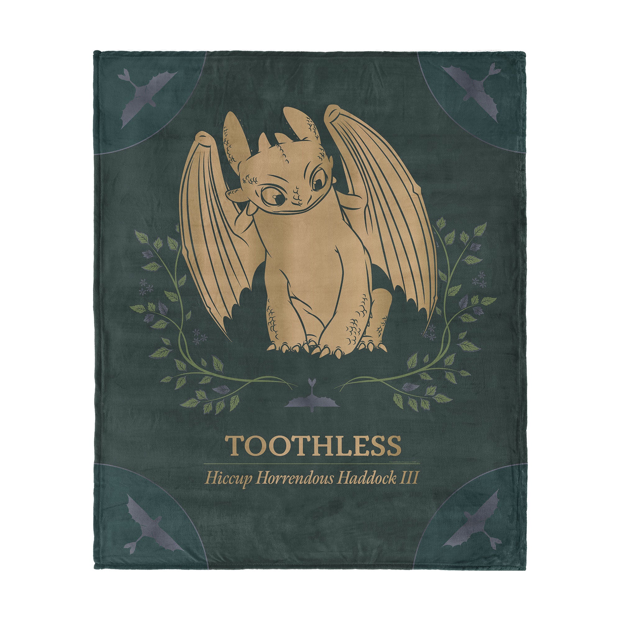 How to Train Your Dragon Silk Touch Throw Blanket 40x50 inches, DRAGON, hi-res image number 0