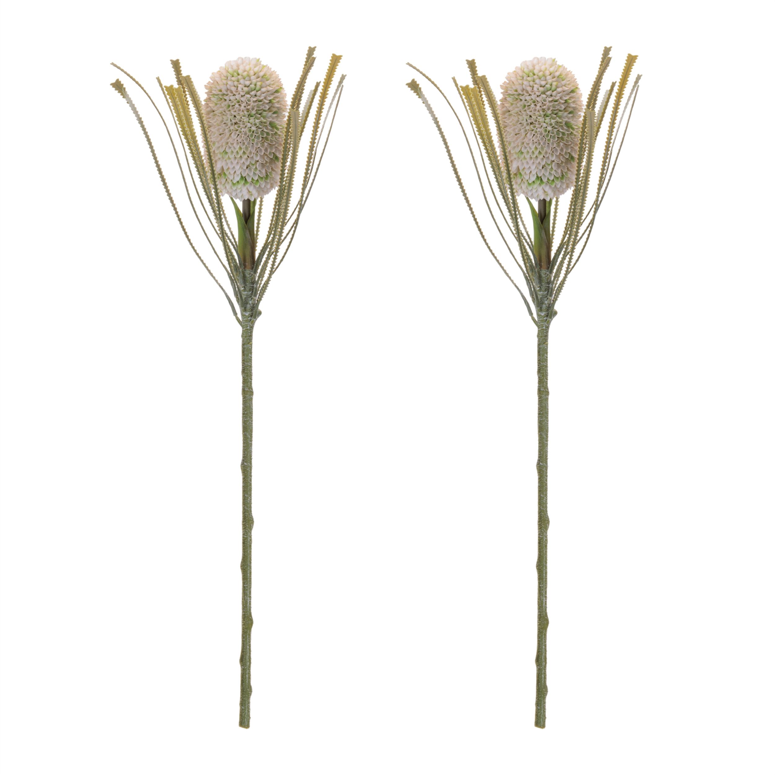Protea Floral Stem Set of 2, GREEN, alternate image number 1