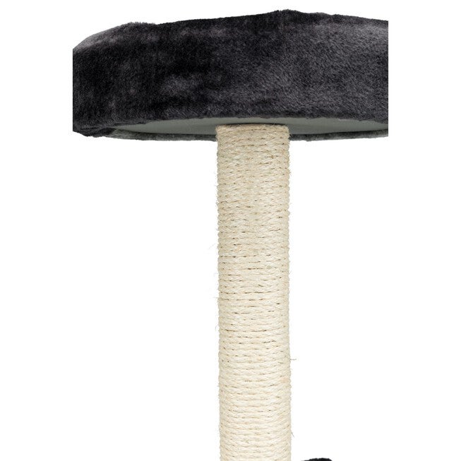Tarifa Scratching Post, , alternate image number null