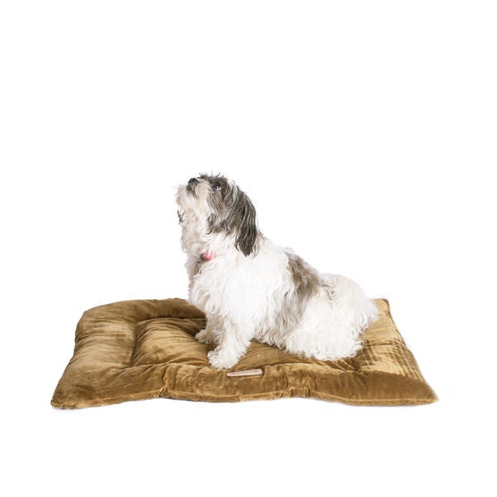 Pet Bed Mat, Dog Crate Soft Pad With Poly Fill Cushion, Medium Sage Green, GREEN, hi-res image number null