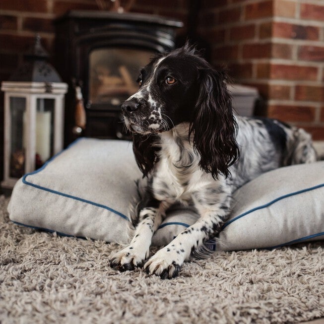 Bondi Eco-Fabric Mattress Dog Bed, , alternate image number null