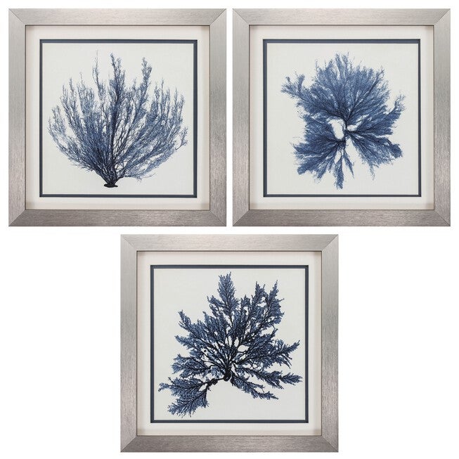 Coastal Seaweed Framed Wall Décor, Set Of 3, BLUE, hi-res image number 0